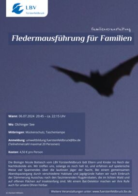 Fledermausführung für Familien
