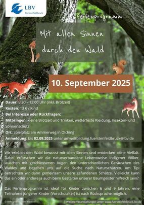 Mit allen Sinnen durch den Wald