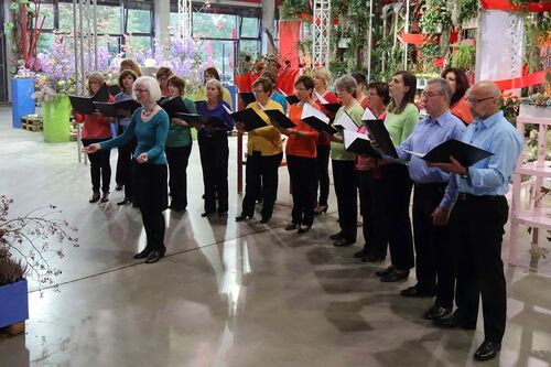 ChillOut - Konzert mit Chor Belcanto