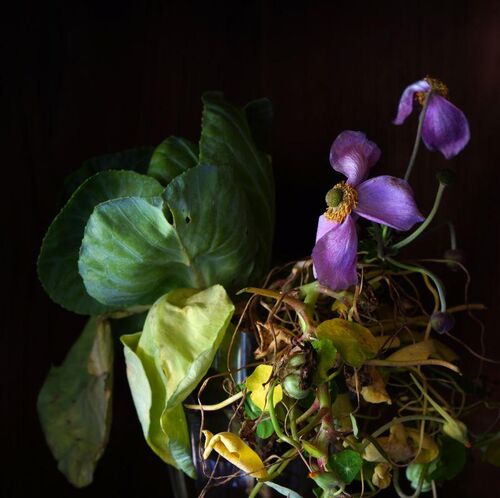 Werkformenausstellung 2025 - Vegetabile Räume