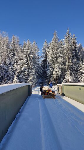 Entbuschungsaktion LET`S DO MOOR e. V.