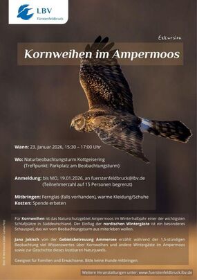 +++ Die Führung ist ausgebucht +++ Kornweihenbeobachtung im Ampermoos