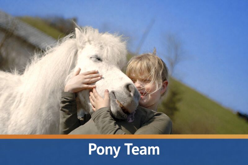 Pony Team - alles rund ums Pony
