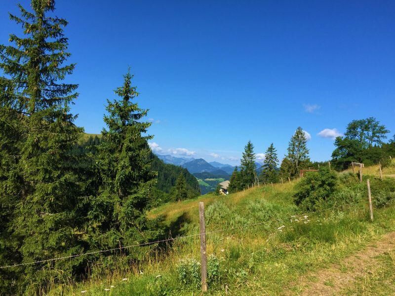 Gemeinsames Wandern und Ratschen