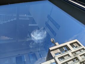 Ich sehe was - was du nicht siehst: Vogelschlag und Glasfassaden