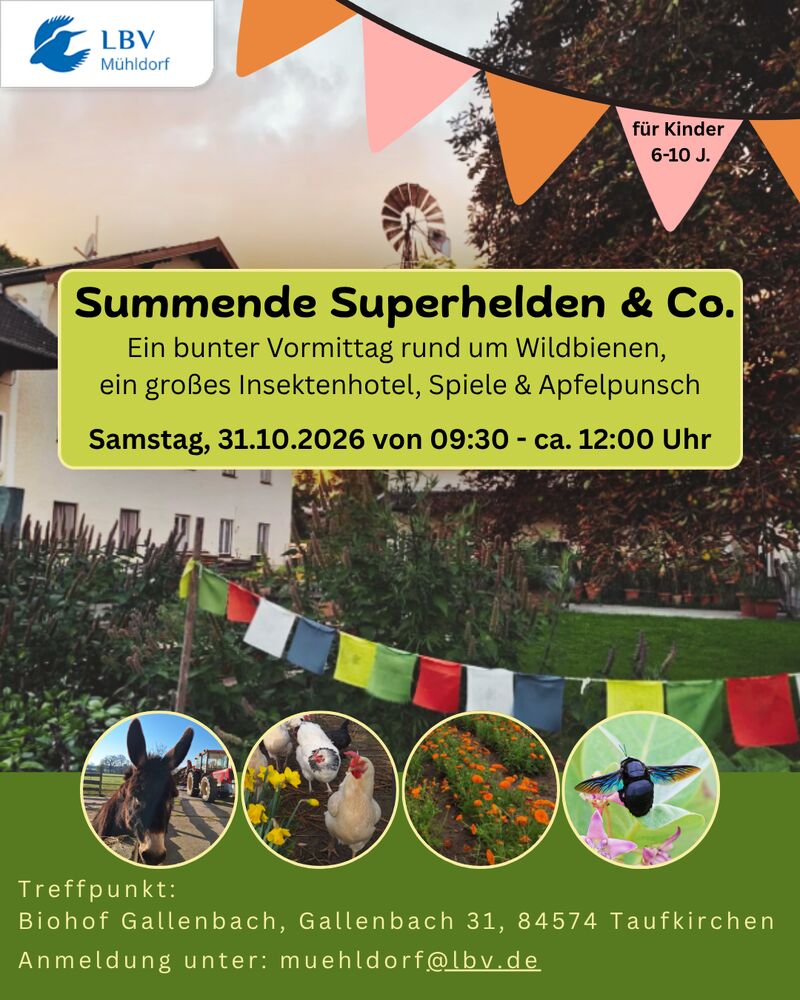 Summende Superhelden & Co.