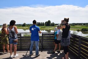 LBV Bildungstag - Führung auf der Vogelinsel im Altmühlsee