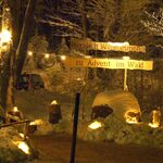 Advent im Wald