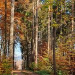 Wandertour mit Gästen und Einheimischen