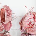 A Heart That Beats. Queere ukrainische Kunst im Fokus