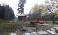Qi Gong im Asien-Garten