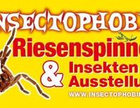 Insectophobie Riesenspinnen & Insekten Ausstellung