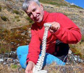 Gesundheitsvortrag -  Die DORN-Behandlung bei Rücken- und Gelenkbeschwerden