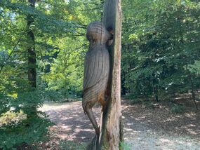 Wilder Wald – Ein lehrreicher Mitmach-Nachmittag für Familien mit Kindern ab 3 Jahren