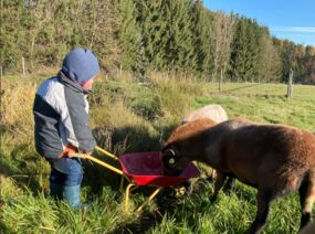 Zwergerltreff | Gruppe II - donnerstags