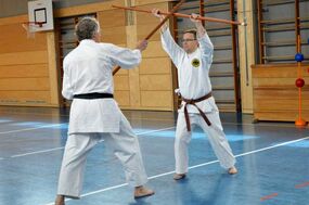 Kobudo für Neueinsteiger ab 14 Jahre