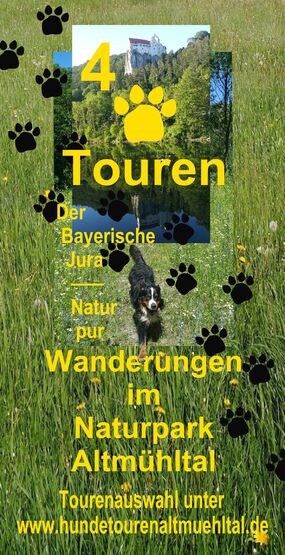 Wandern mit Hund