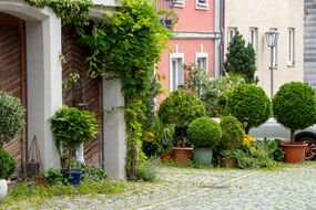 Grüne Stadt - kühle Stadt: Freising atmet auf | Podiumsdiskussion