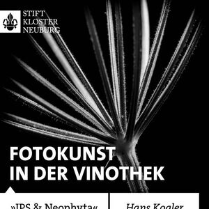 IPS & NEOPHYTA - Fotokunst in der Vinothek Stift Klosterneuburg