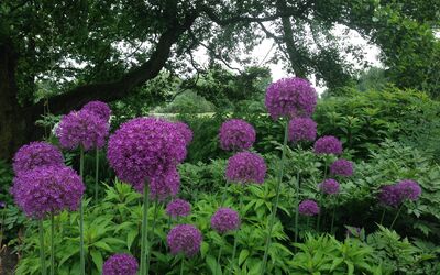 Herbstzeit ist Gartenzeit, Gartenarbeit