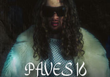 PAVES 16