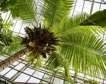 Vortrag mit Rundgang: “Sagen und Märchen aus Pakistan–