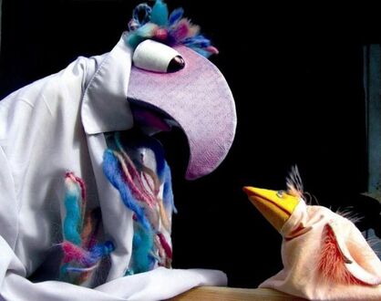 Kleiner Vogel, flieg