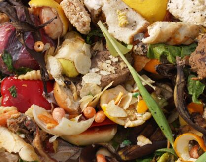 TJ3: Food-Upcycling Abend