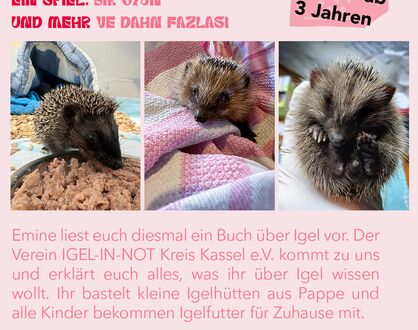 Igelzeit im Gewächshaus für alle Kinder ab 3 Jahren
