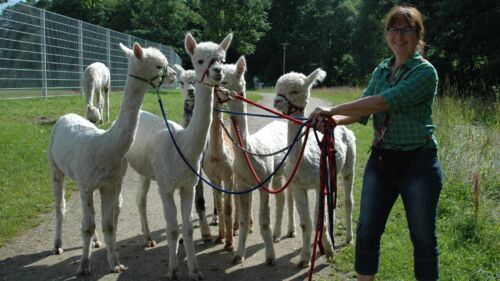 ALPAKA TOUR –  ein Geschenk für die Seele