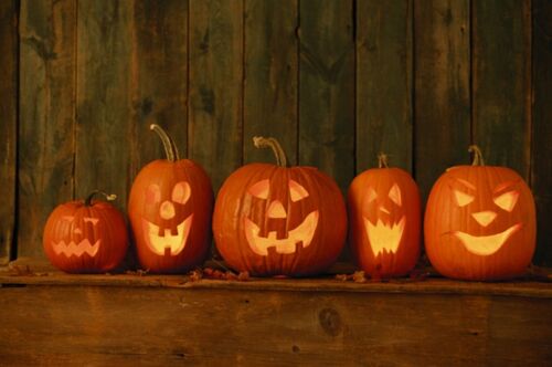 Halloween - Basteln im Tierpark