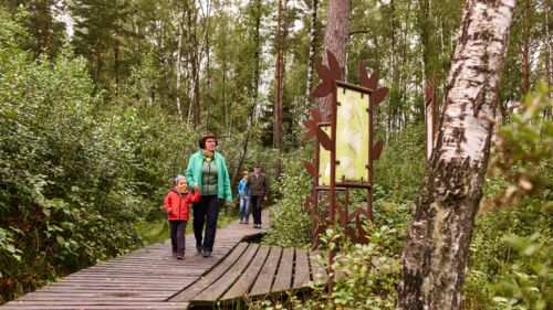 Schaurige Moorführung