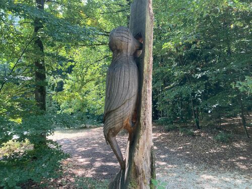 Wilder Wald – Ein lehrreicher Mitmach-Nachmittag für Familien mit Kindern ab 3 Jahren