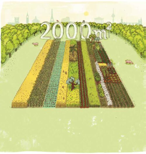 Wanderausstellung 2000m²