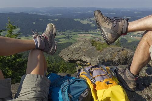 Geführte Wanderung: Über den Hohenbogen