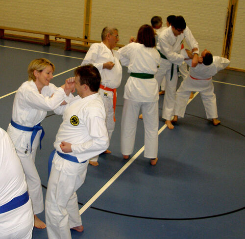 Karate Neueinsteigerkurs für Erwachsene ab 18 Jahre