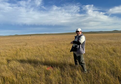 Peat Talk: Landscape Approach to Peatland Restoration in Carbon Projects: Case Studies from Peru and Mongolia