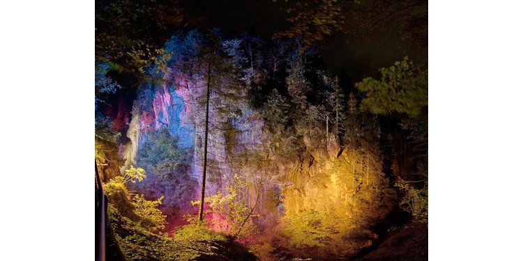 Zeichnen mit Licht und Stift: Das Sujet der Landschaft von Bürkel bis Bracke