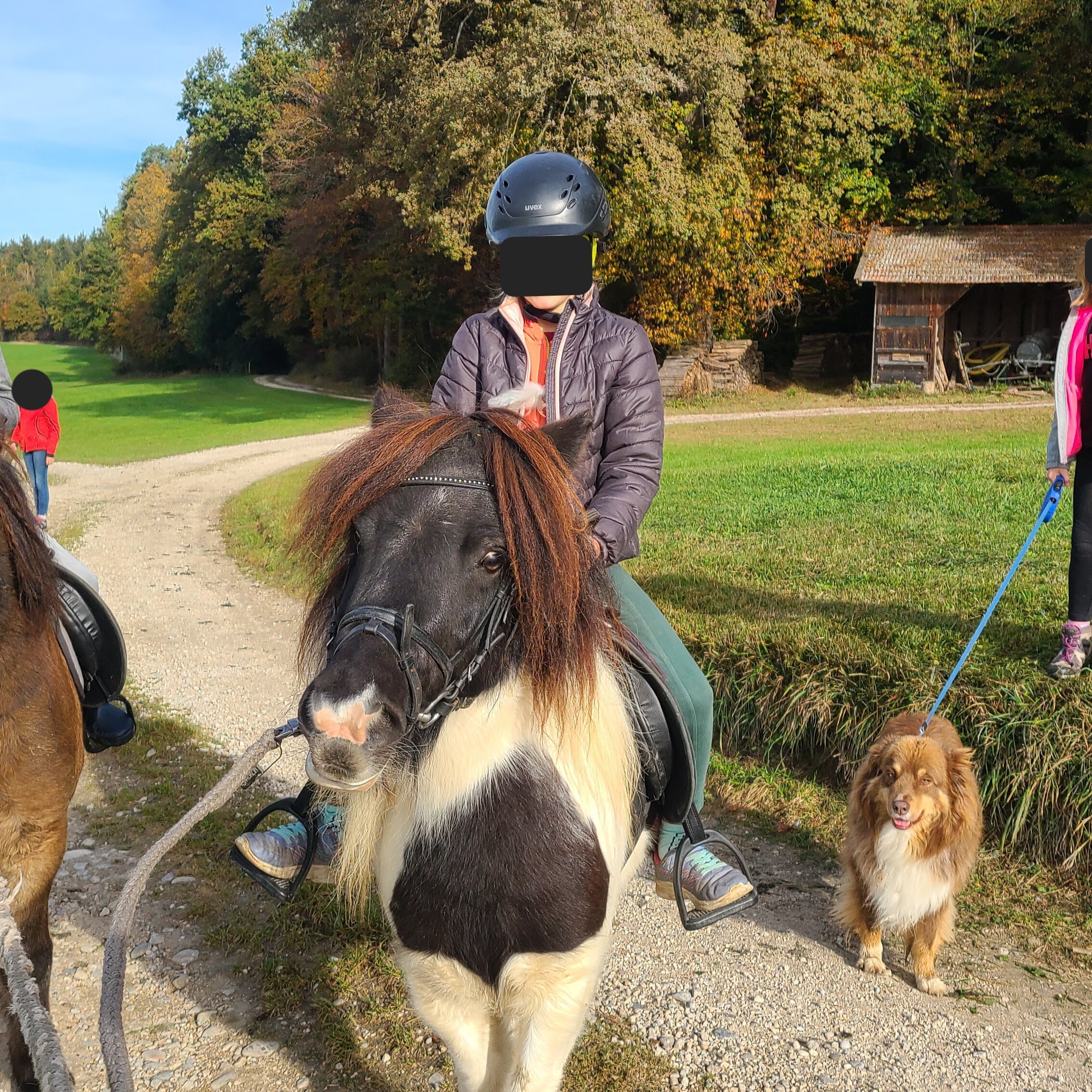 Kinderglück und Ponyzeit