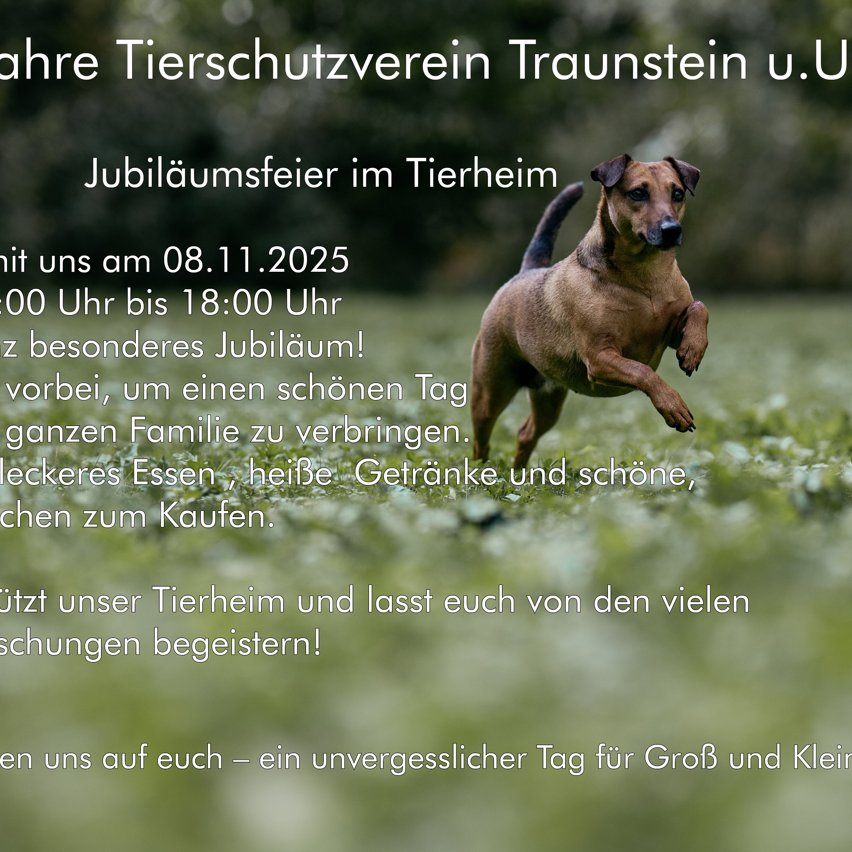 70 Jahre Tierschutzverein Traunstein u.U.e.V.