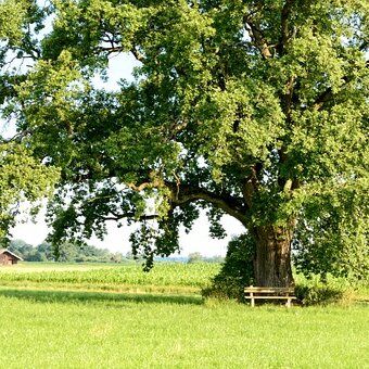 „Gemeinsam den Herbst erleben“ „Spitzau“