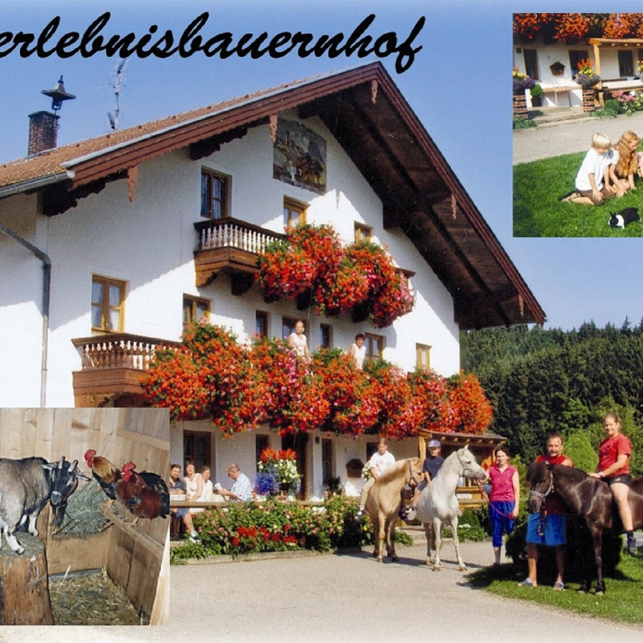 Ponyreiten auf Islandponys in Chieming