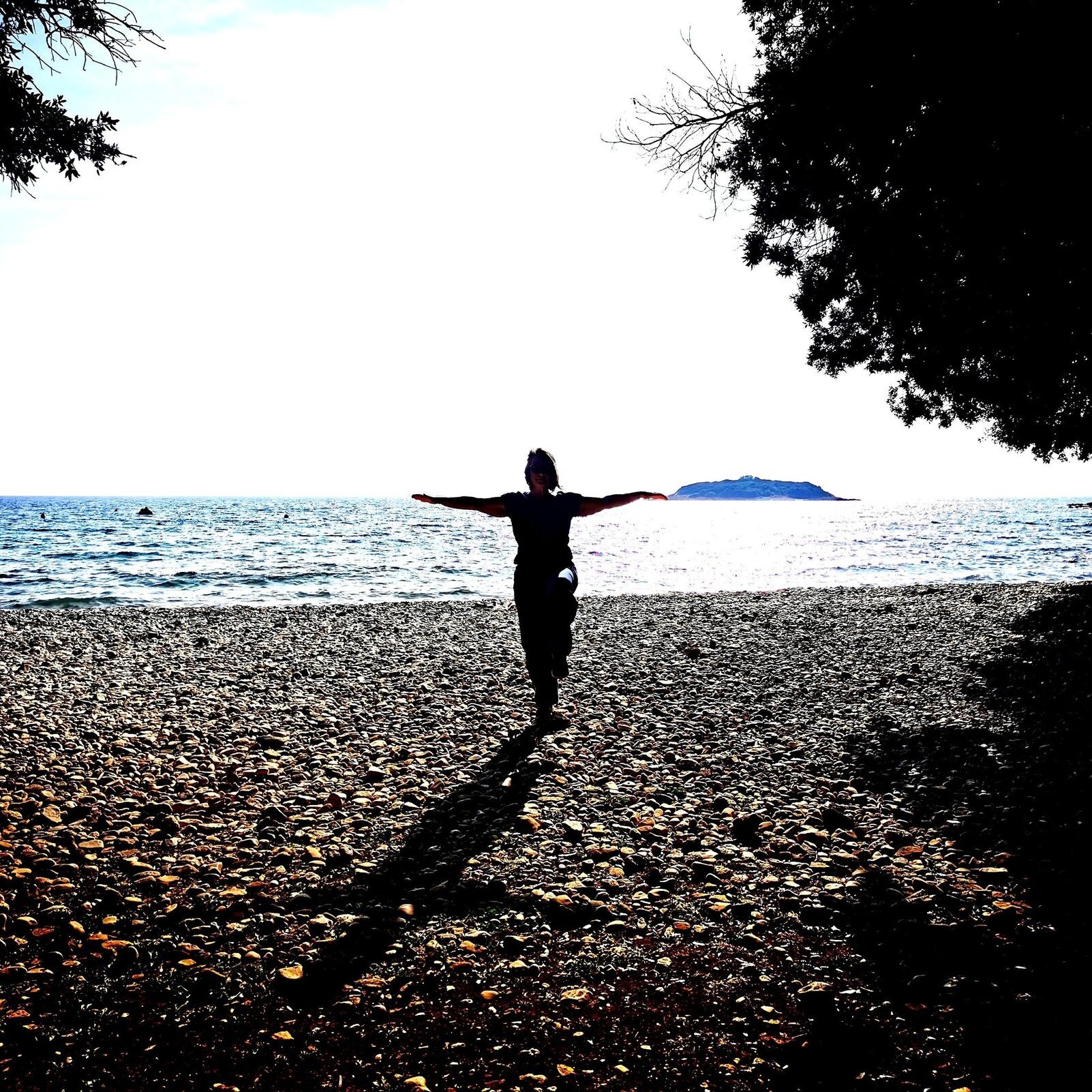 Qigong für Anfänger und Fortgeschrittene