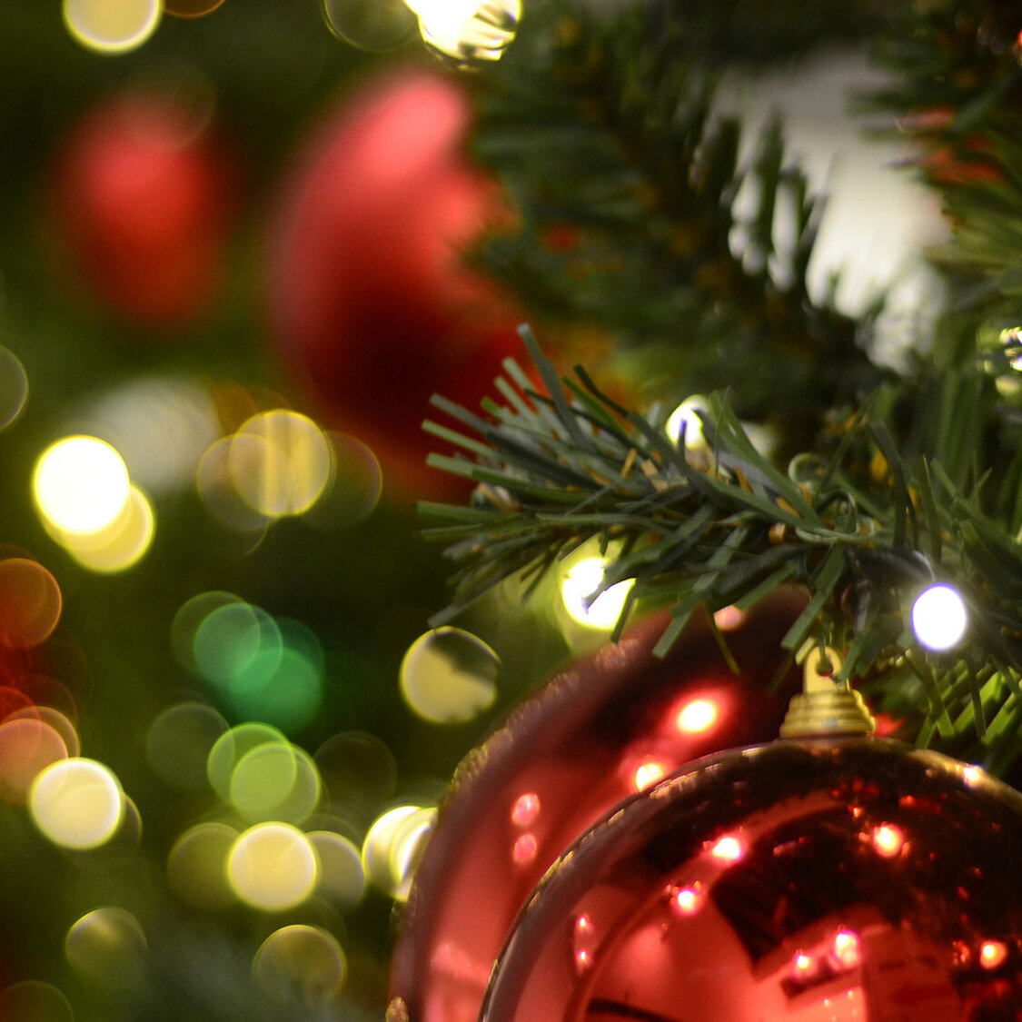 Weihnachtsfeier des GTEV D'Mühlberger