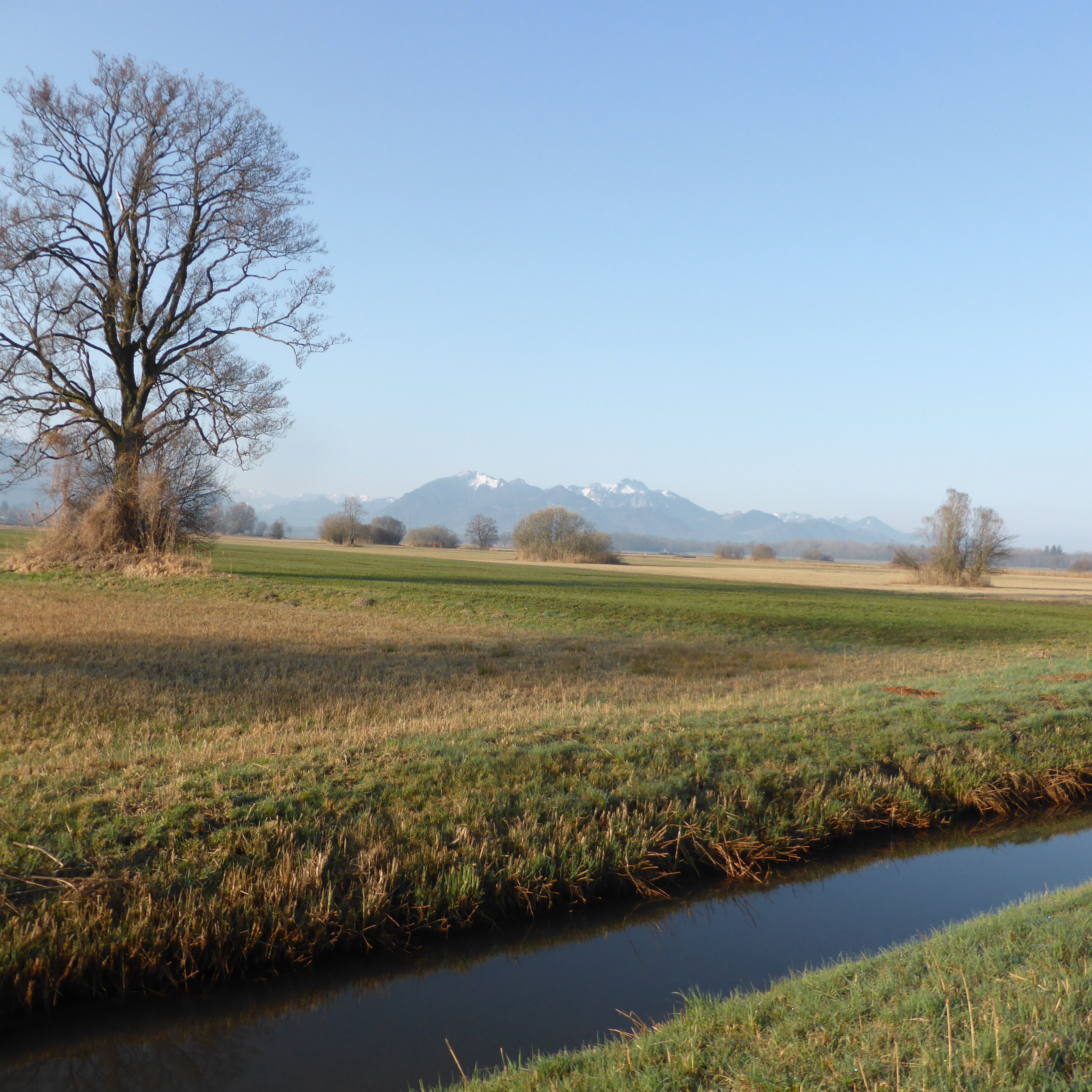 Wasser- und Bodenverband Marwanger- und Grabenstätter Mühlbach: Verbandsversammlung