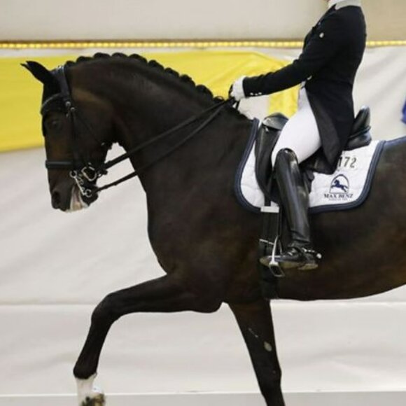 Dressurturnier und Halbfinale "DERBY Stars von Morgen"