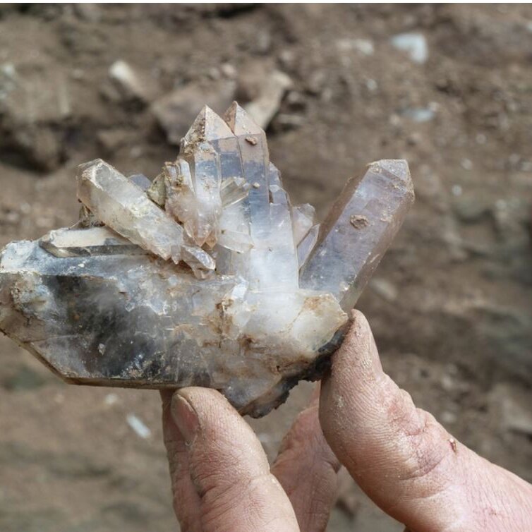 Mineralien & Fossilienbörse