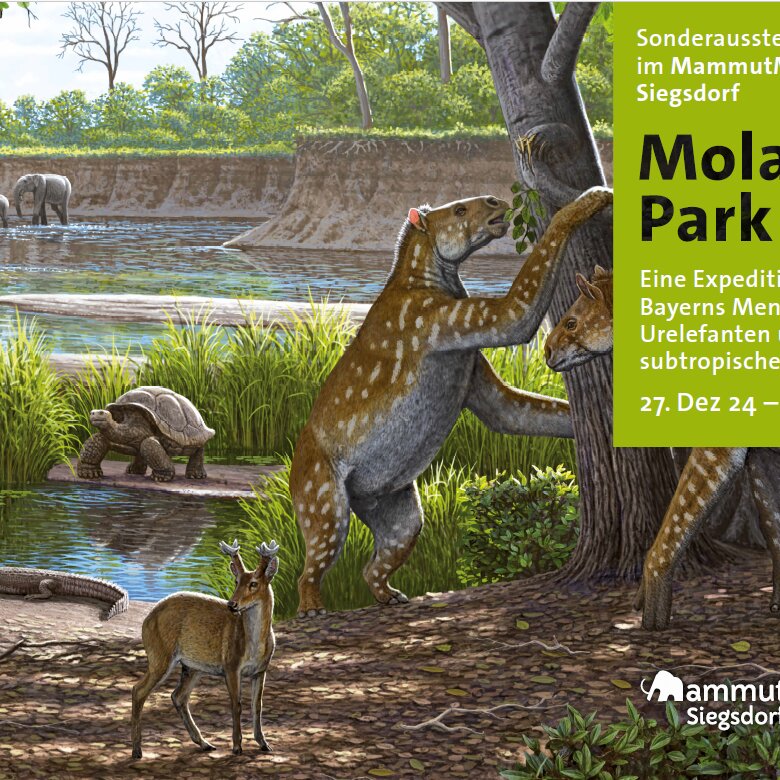 Sonderausstellung "Molassic Park" im MammutMuseum Siegsdorf