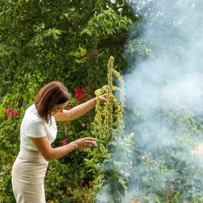 Räuchern mit Kräutern, Samen und Harzen