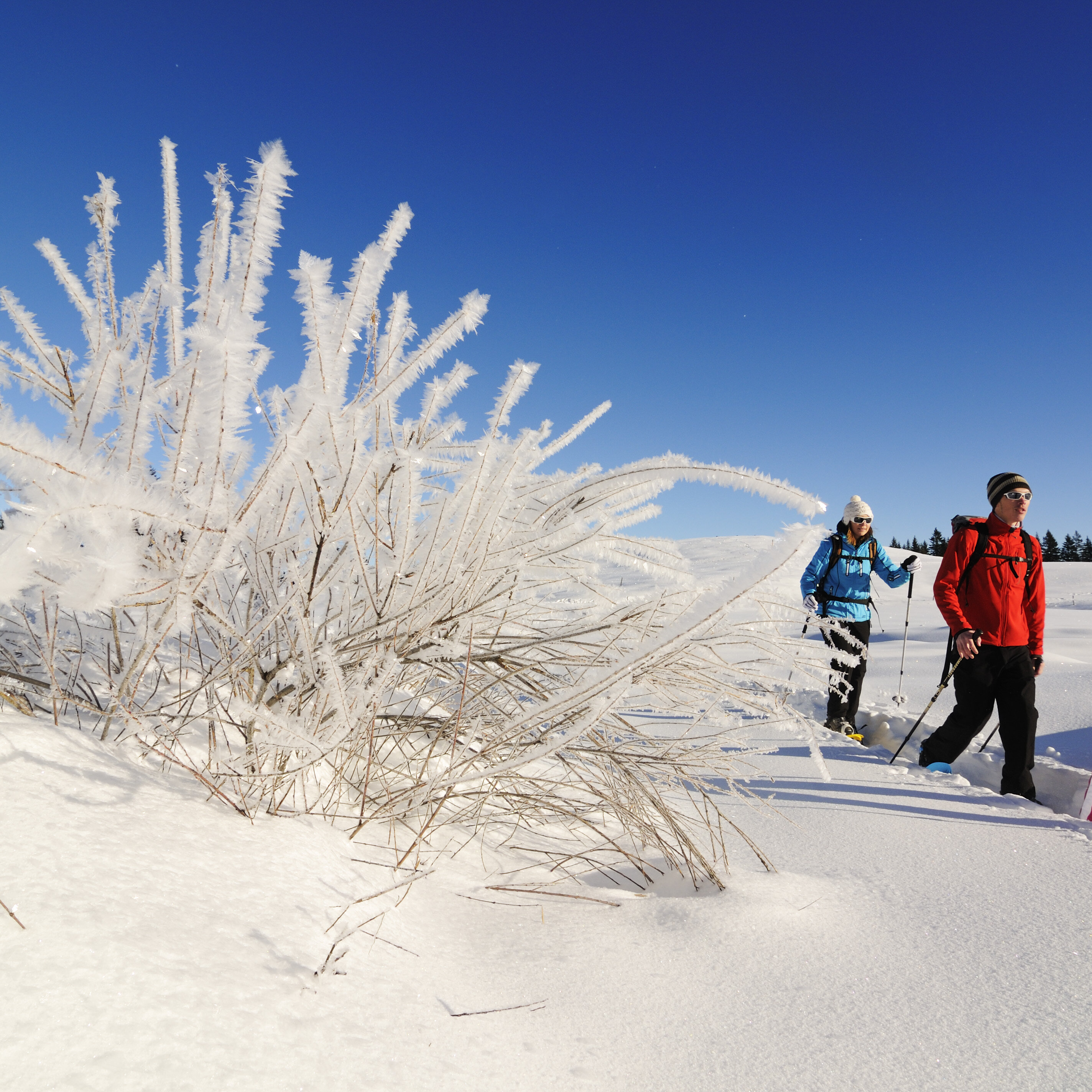 Gemütliche Schneeschuh-Wanderung mit Einkehr